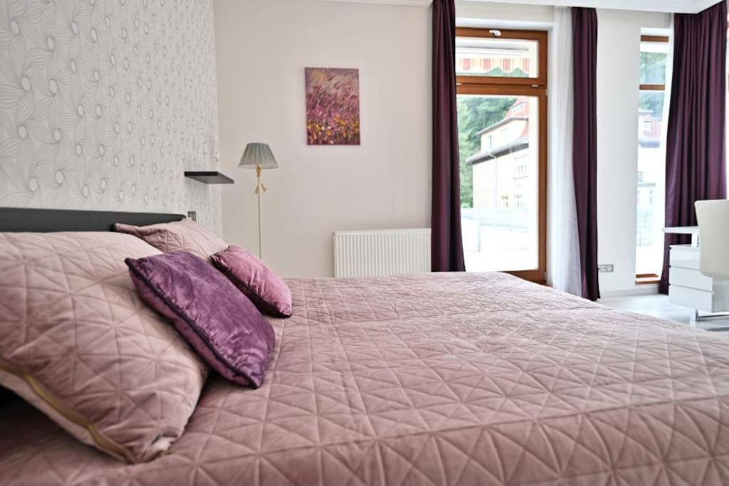 Krizikova 4 Apartment Karlovy Vary Ngoại thất bức ảnh